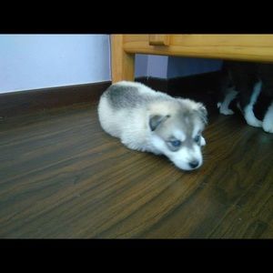 Meet your Posher, Sandrine